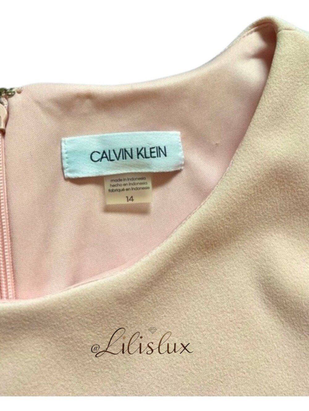 Calvin Klein Sleeveless Petal Pink Detailed Fit and Flare Dress NWT Size 14 Lg - Picture 4 of 10